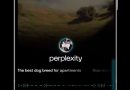 Perplexity Assistant: el nuevo rival de los asistentes de IA